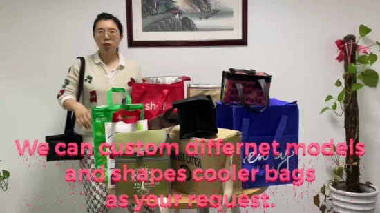 カスタム 6 パック不織布断熱サーマル ランチ クーラー バッグ卸売中国製造